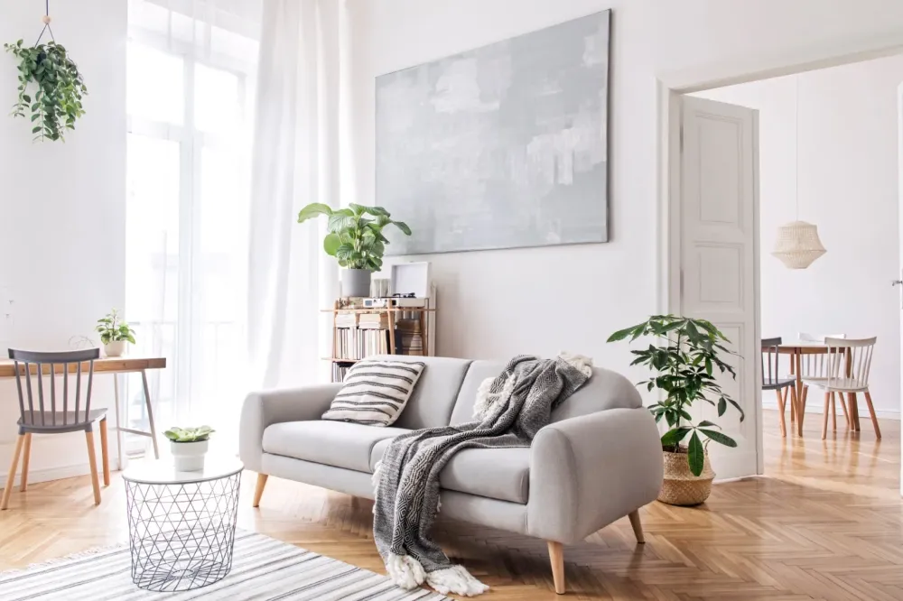 salon-neuf
